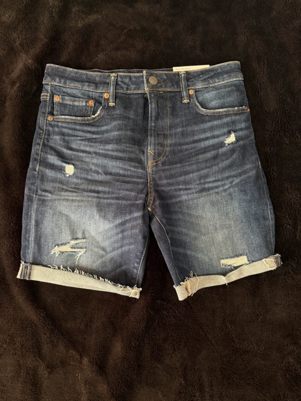 American Eagle Next Level Airflex size 30 Shorts NWT Athletic